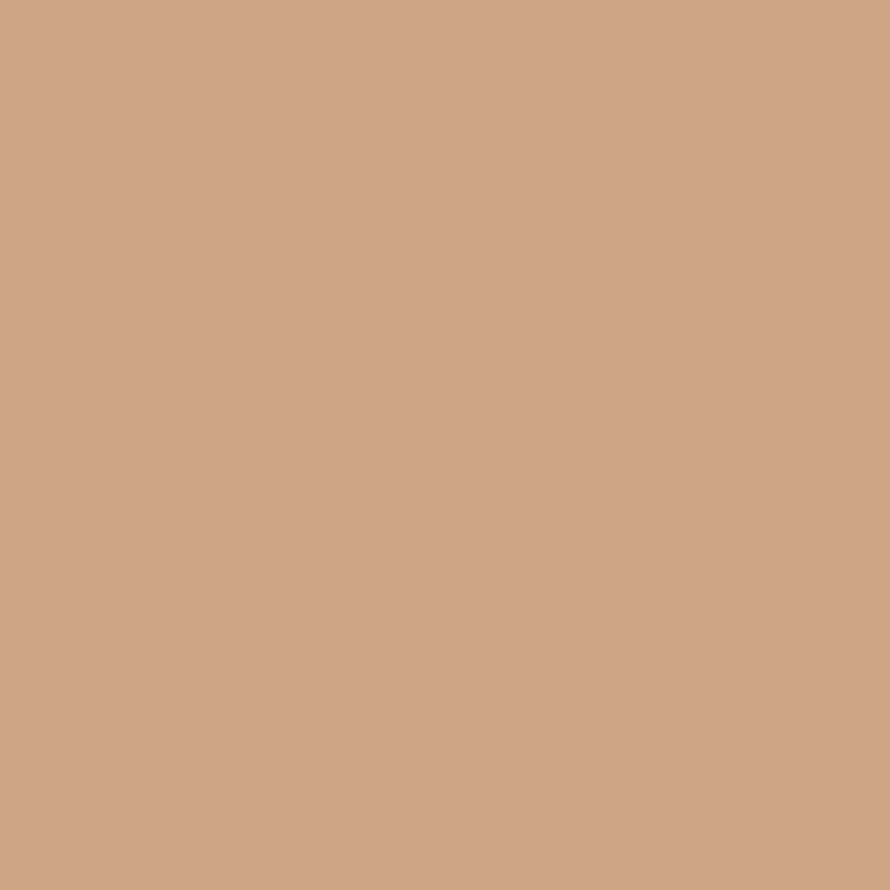 Пудра IsaDora 67 Warm Tan