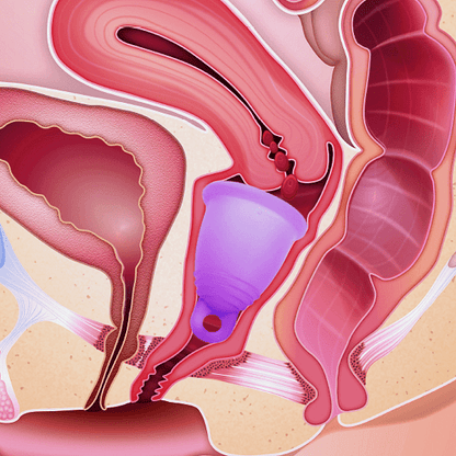 Интимна грижа Me Luna